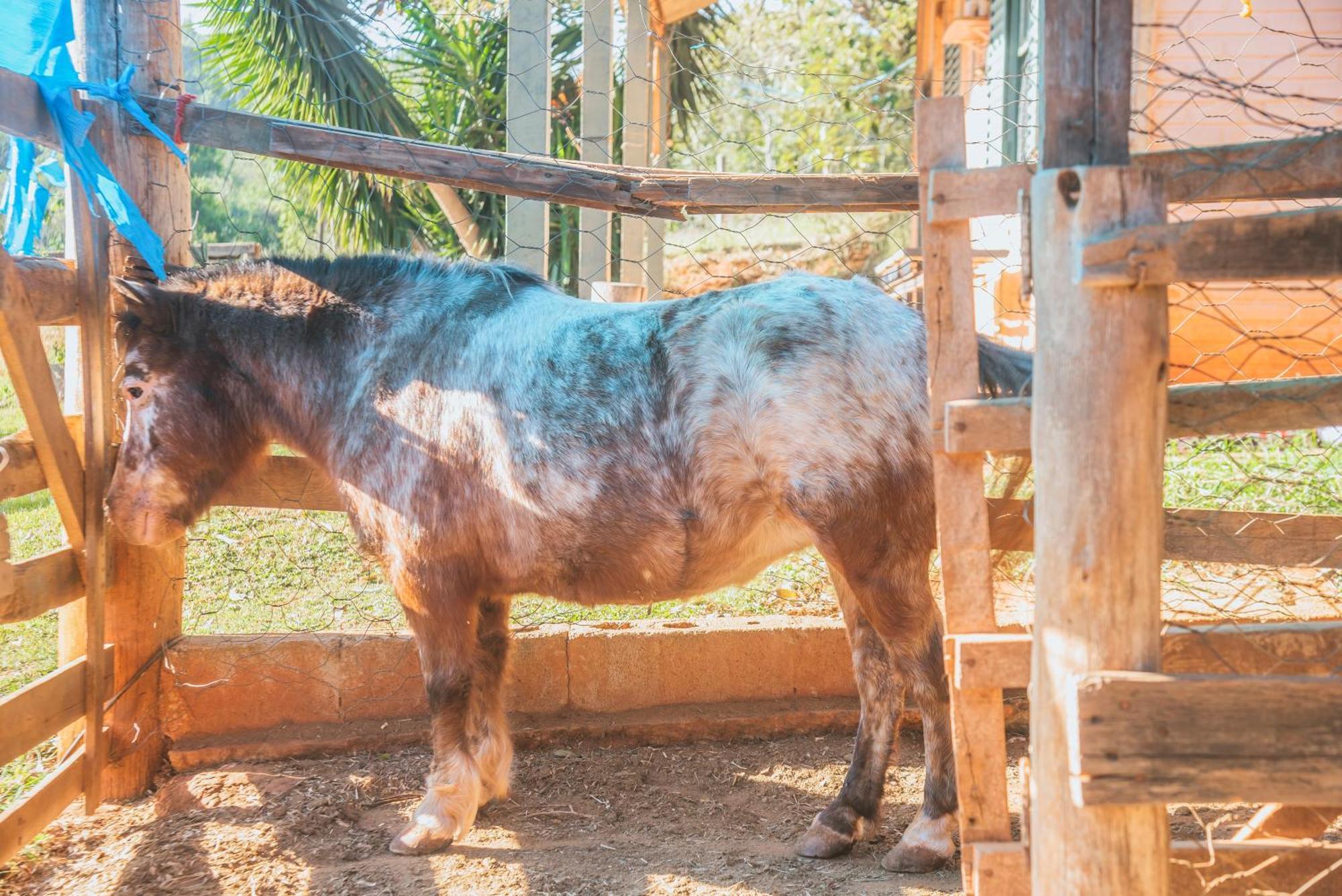 Hotel Fazenda Reviver Araçoiaba da Serra Dış mekan fotoğraf